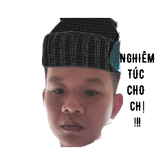 MWG 913