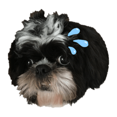 Poohpon_20190628003540