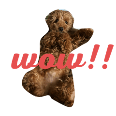 ASUKA_20190627214920