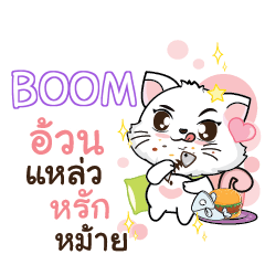 BOOM Seenuan cat_S e