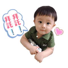 圓滾弟來囉！