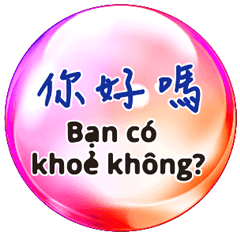 中文國語與越南語 七彩魔幻水晶球 6