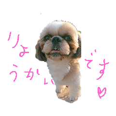 reiko_20190627214148