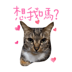 沙嗲 蚵嗲