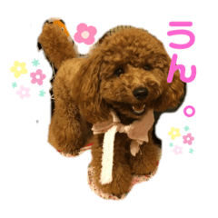 manmaru_20190628070247