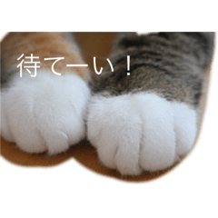 Risa_20190627214651