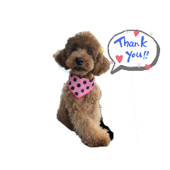 saori_20190628103331