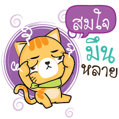 SOMJAI Sesa cat_E