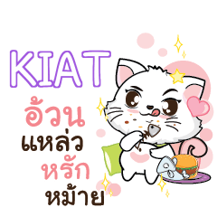 KIAT Seenuan cat_S e