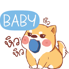 BABY Shiba naughty dog e