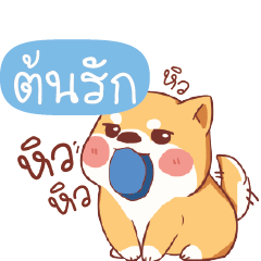 TONRAK2 Shiba naughty dog