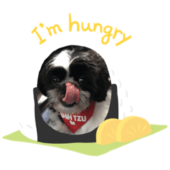 Poohpon_20190627231720