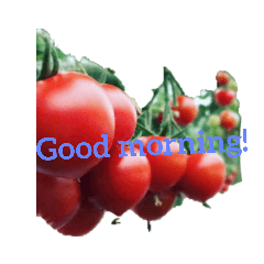 takashi ongaku tomato