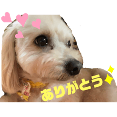 yukari_20190627235725