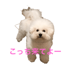 Akira19880121_20190623221940