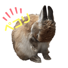 rab_bitman_20190628162302 – สติกเกอร์ LINE | LINE STORE