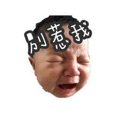 大少爺與二少爺