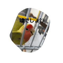 Yukiko_20190628180656