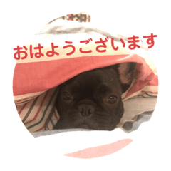 Aoi_20190628213121