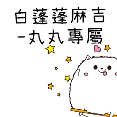 白蓬蓬麻吉貓-專屬丸丸篇