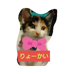 hinata_20190628200111