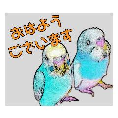 chikatsu_20190630044433