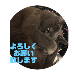 ayano_20190628224425