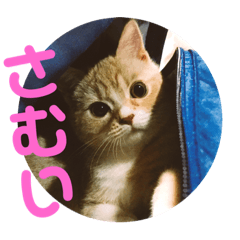 yumetarou
