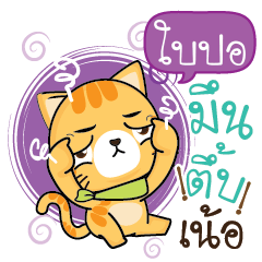BAIPOR Sesa cat_N