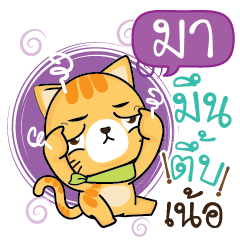 MA Sesa cat_N