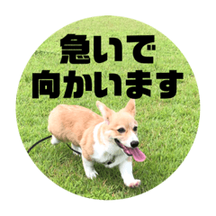 pon_20190628221811
