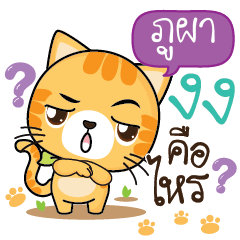 POOPA Sesa cat_S