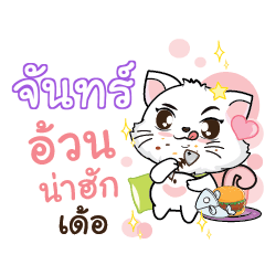 CHAN Seenuan cat_E