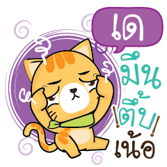 DAY2 Sesa cat_N