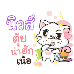 NEWS Seenuan cat_N