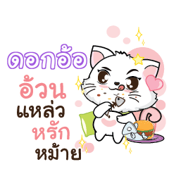 DONGOR Seenuan cat_S