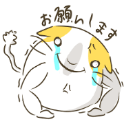Daily Fake Fat Cat Stickers