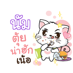 NUM2 Seenuan cat_N