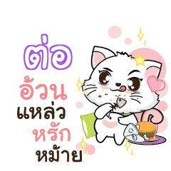 TOR Seenuan cat_S