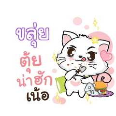 KUI Seenuan cat_N