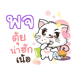 POJ2 Seenuan cat_N