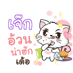 JEK Seenuan cat_E