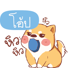 OBB Shiba naughty dog