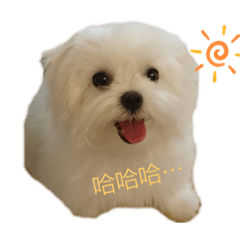 不良瑪爾濟斯_妮妮