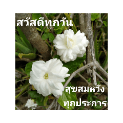 สวัสดีทุกวัน มีความสุขทุกเวลา