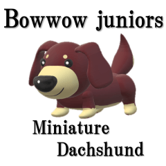 Bowwow Juniors fellow miniatureDachshund