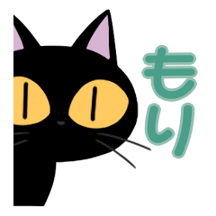 Mori&Black cat