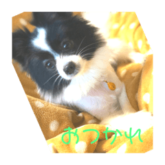 kazuki_20190628210508