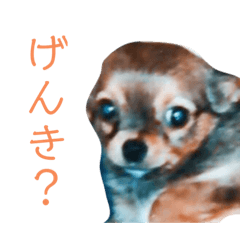 Risa_20190629115704