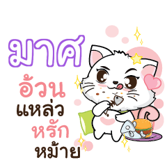 MAS2 Seenuan cat_S